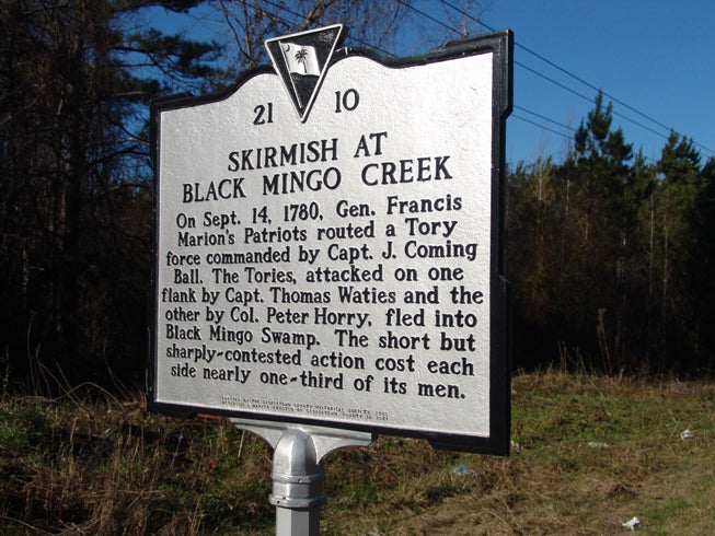 South Carolina Mingo Swamp Honey
