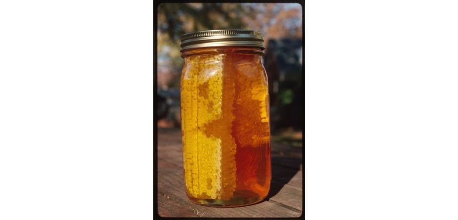 Signature Honey with Honeycomb